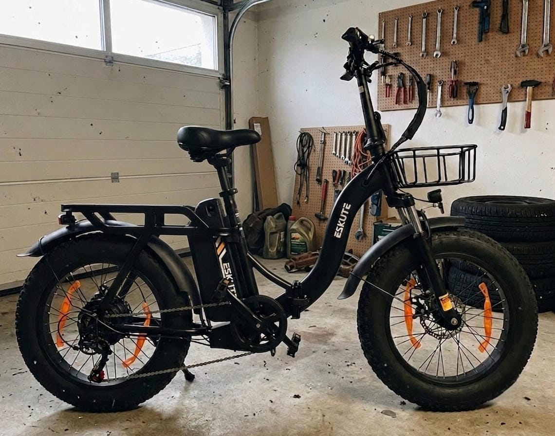 Customer photo review of Eskute D202 Folding-E-Bike