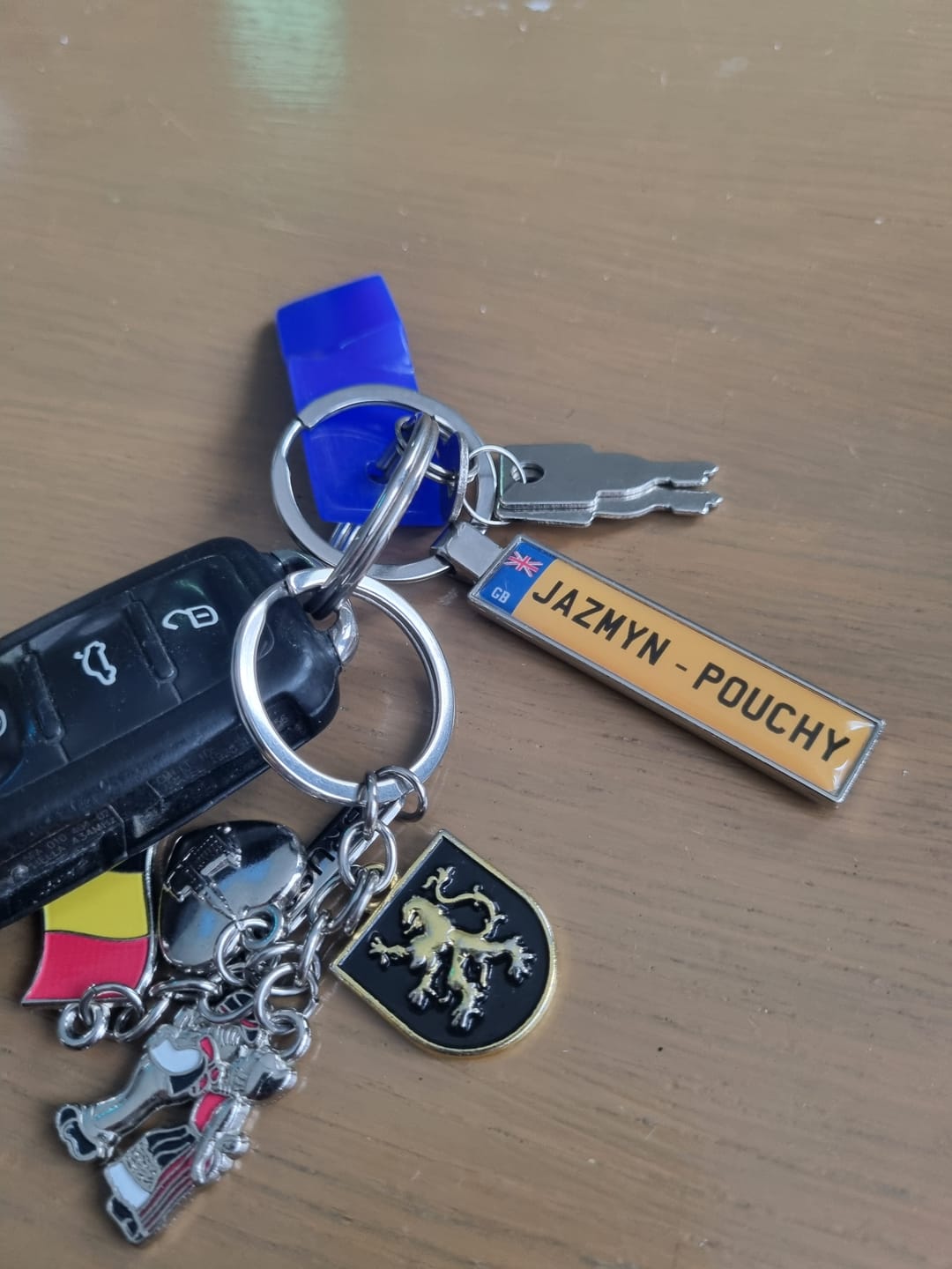 Customer photo review of Personalised Metal Number Plate Keyring - Premium Custom Car Gift