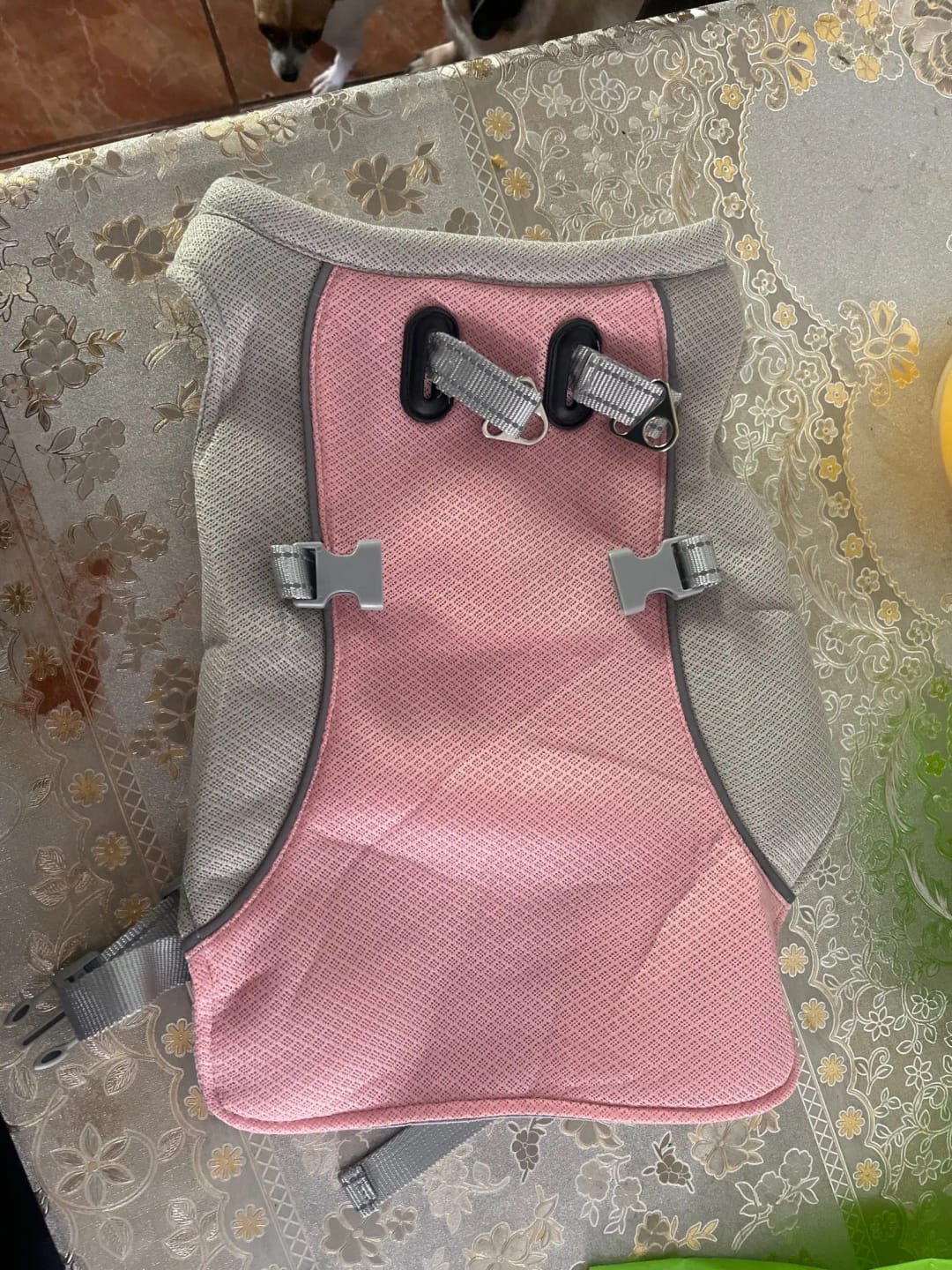 Customer photo review of TruePet Kühlweste Pro™ | Kühlweste & Geschirr in einem | Verdunstungskühlung · Reflektierend · Verstellbar | S–XXXL