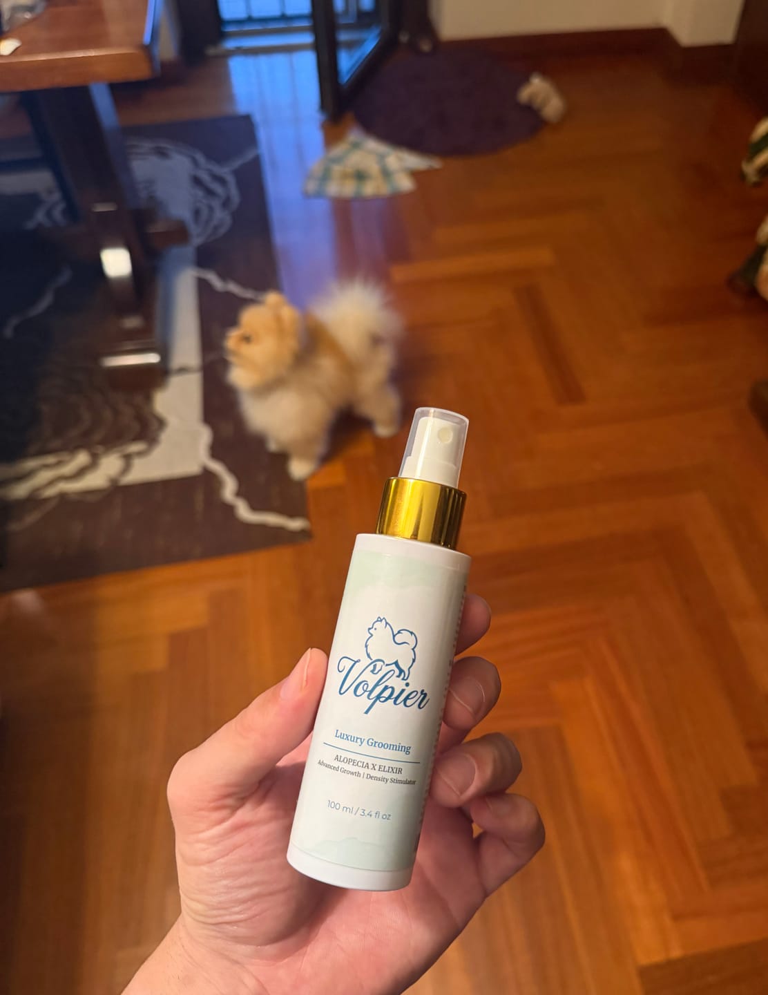 Customer photo review of Volpier Dermaluxe™| Lozione dermatologica avanzata per BSD, Alopecia X e rigenerazione del mantello