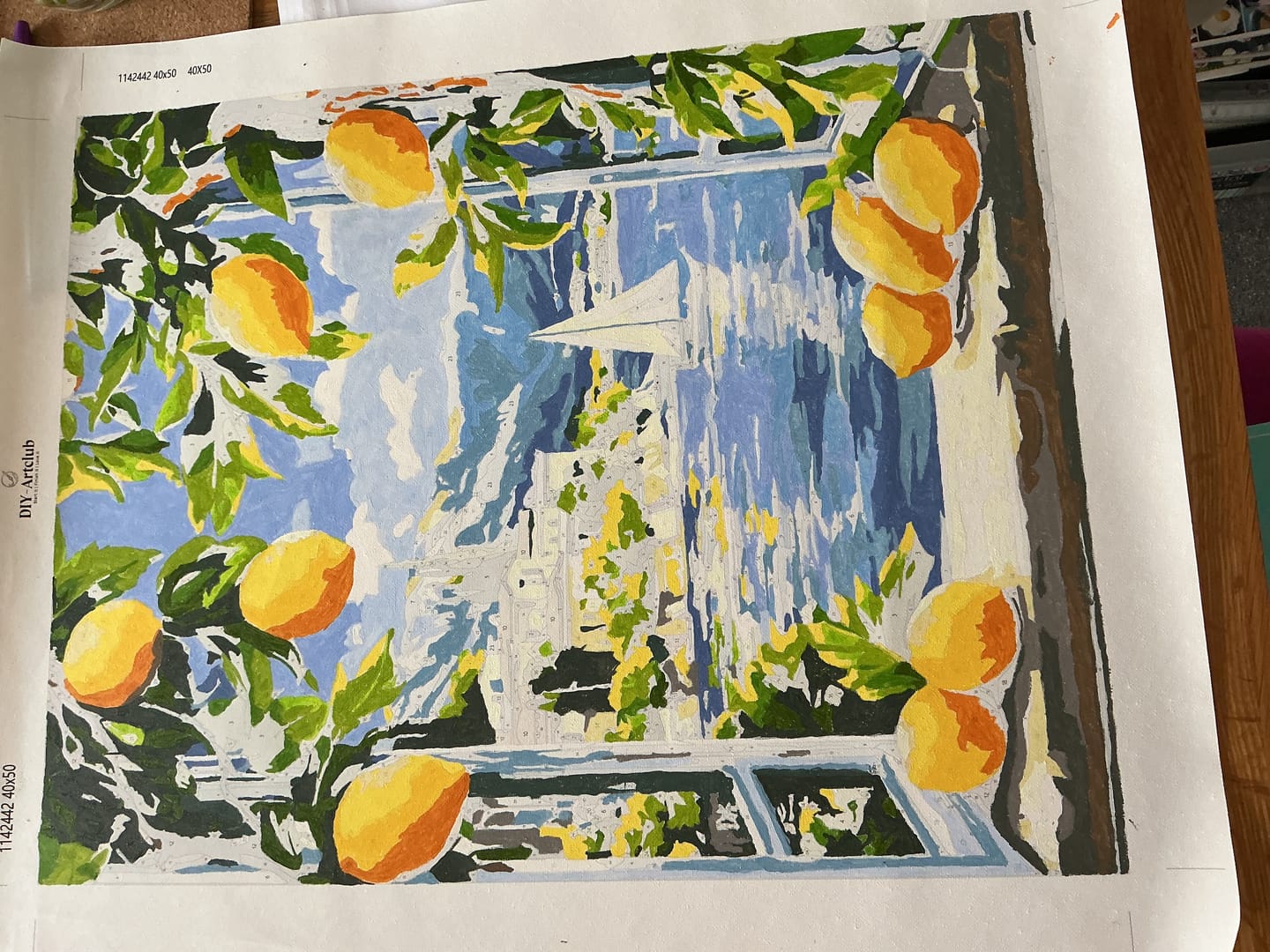 Customer photo review of Lemons & Italian Lake View | Paint by Number
