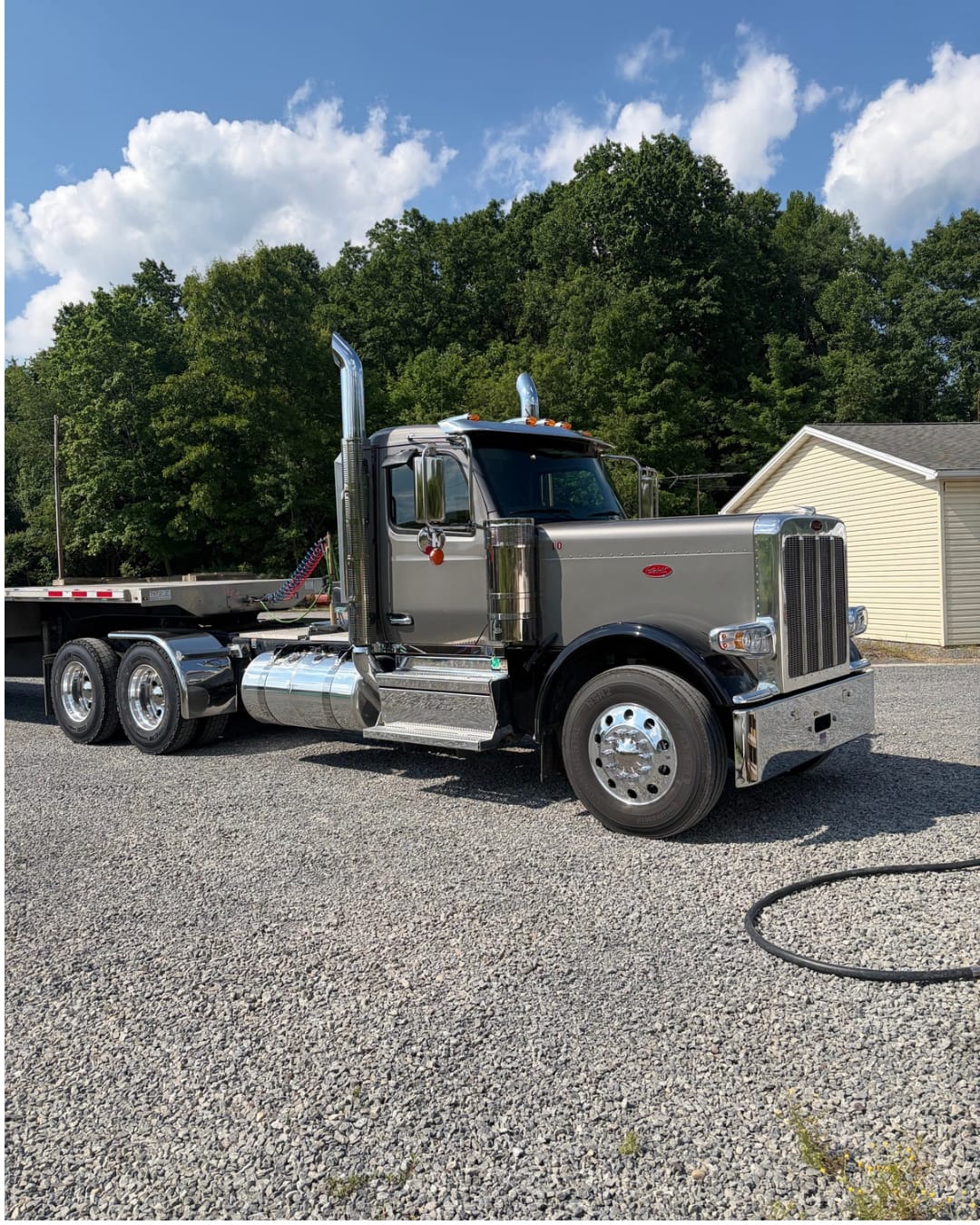 Customer photo review of Bug Remover - Fast & Safe Bug Removal