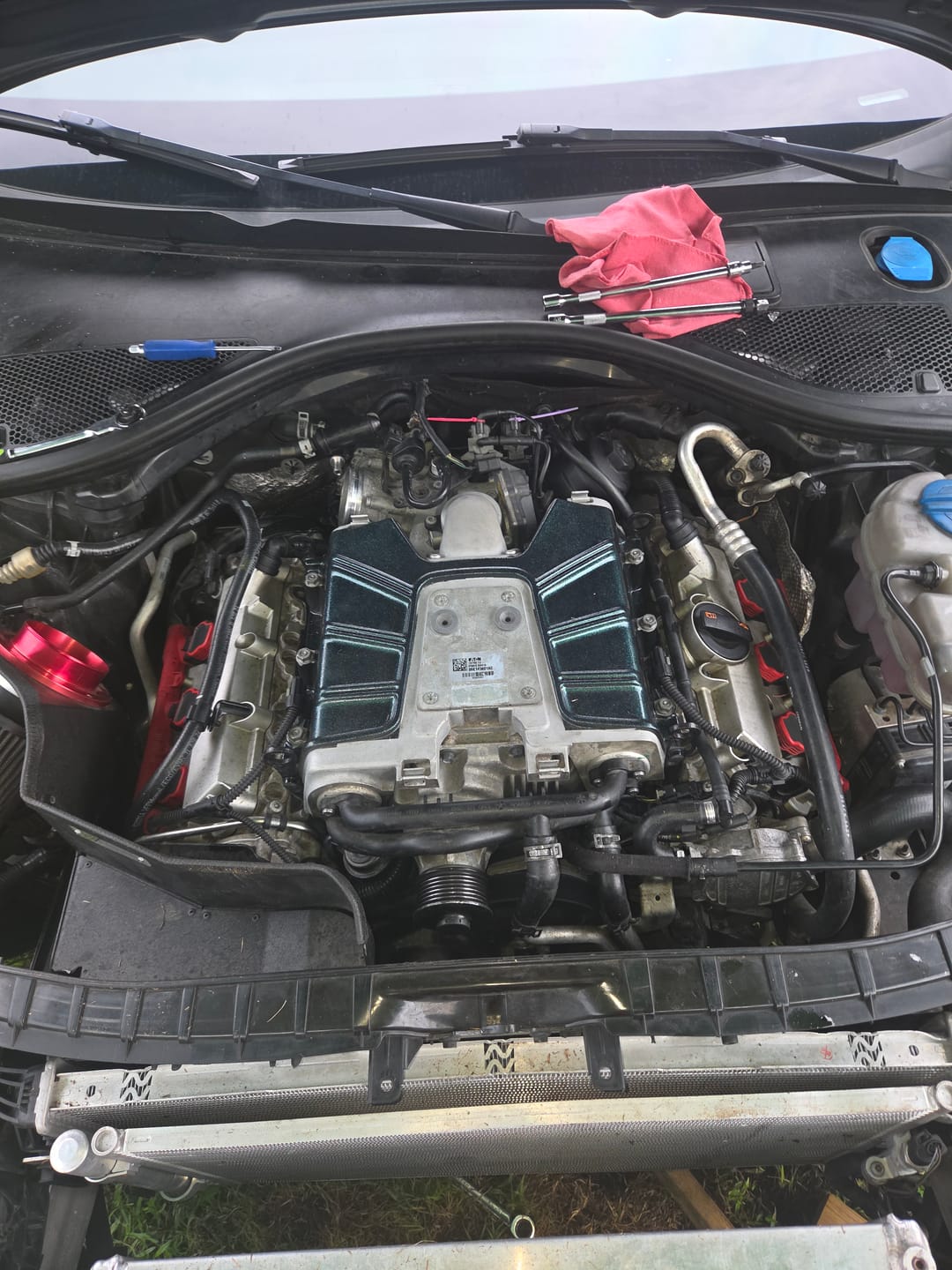 Customer photo review of Diamond Green Spray Can Midcoat