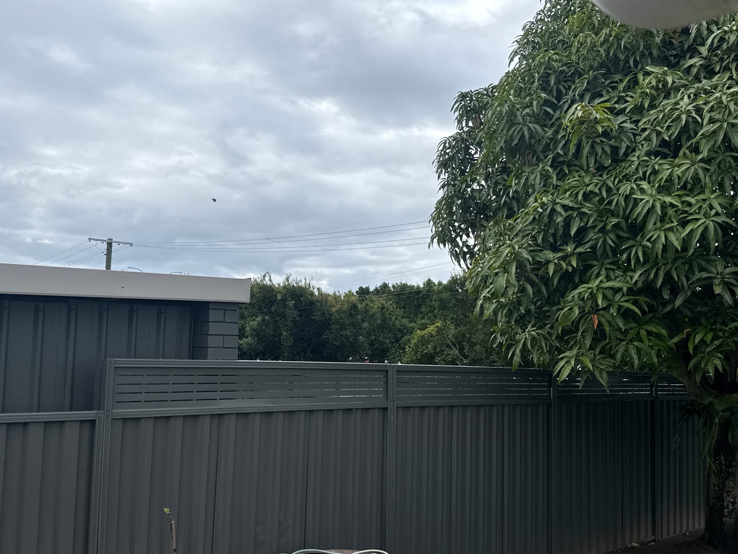 Customer photo review of Fence Extensions for Colorbond Fences
