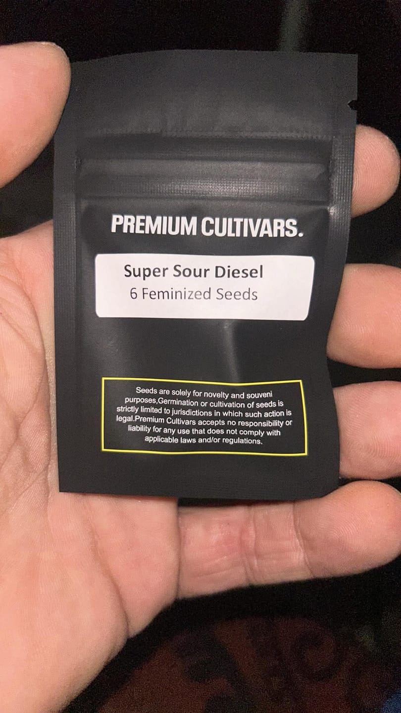 Customer photo review of Super Sour Diesel Seeds