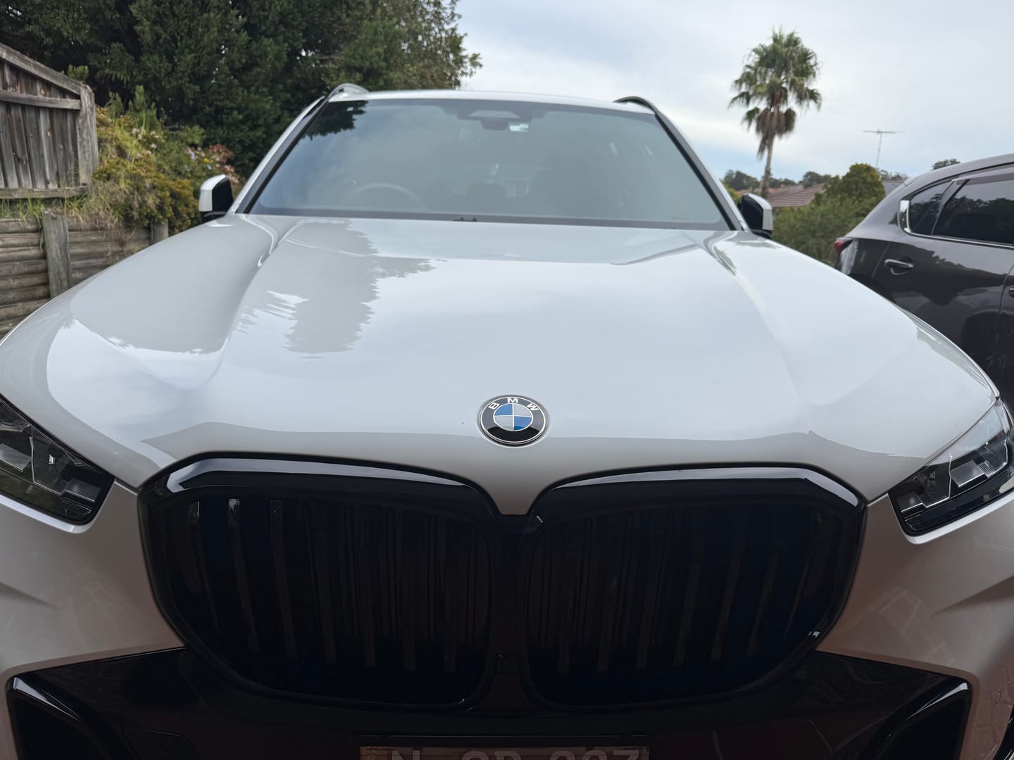 Customer photo review of ABS Glossy Black Front Kidney Grilles Fit For BMW【X5 G05 LCI】2023+
