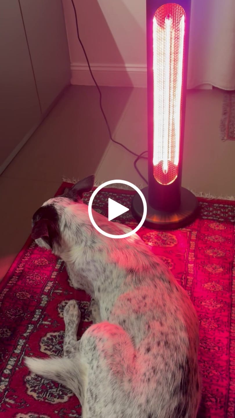 Customer video review of Indoor & Outdoor Infrared Heater