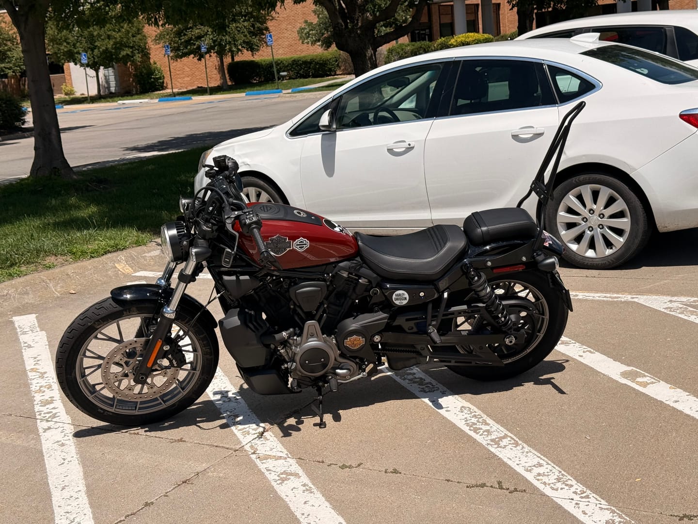 Customer photo review of Iron Born Blade 25" Sissy Bar with Foldable Luggage Rack for Harley Sportster Nightster RH975/S Matte Black
