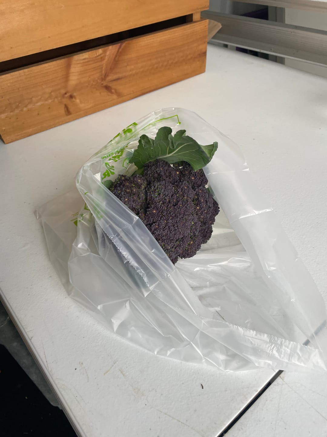 Customer photo review of Produce And Meat Storage Bags
