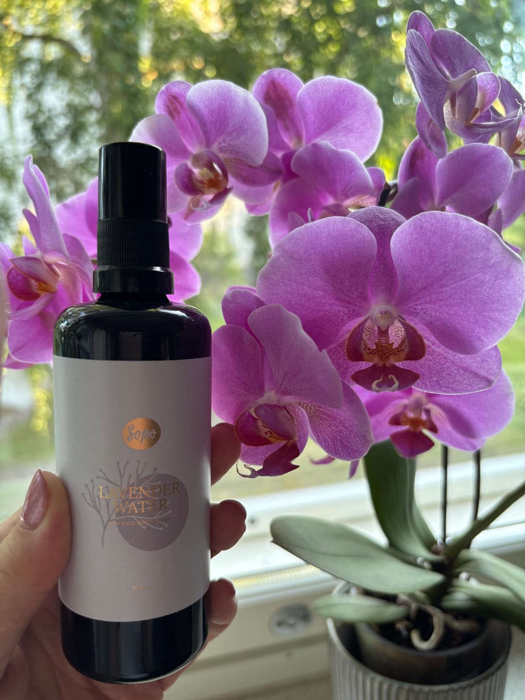 Customer photo review of Laventelivesi