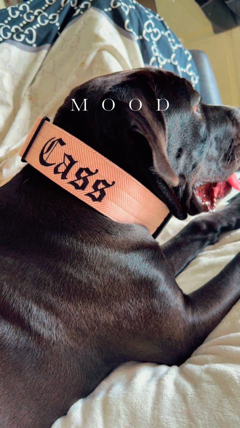 Customer photo review of Personalisation Fee £8.99