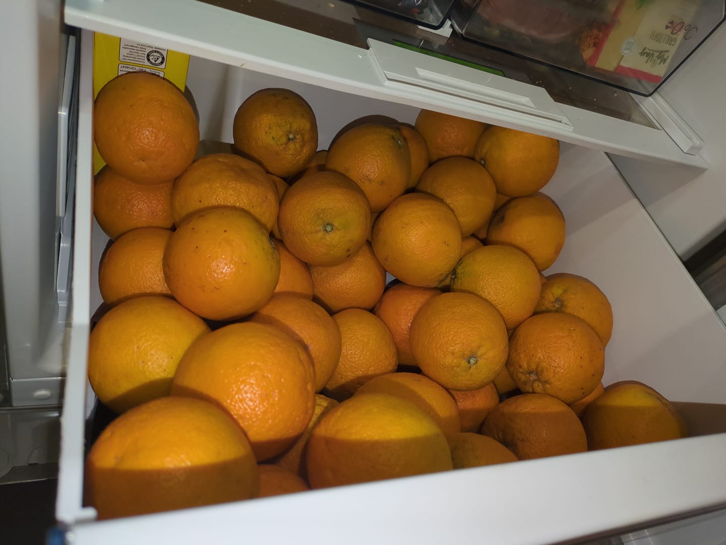 Customer photo review of Orangen Lane Late Bio von Apostolis Kreta 4kg Box