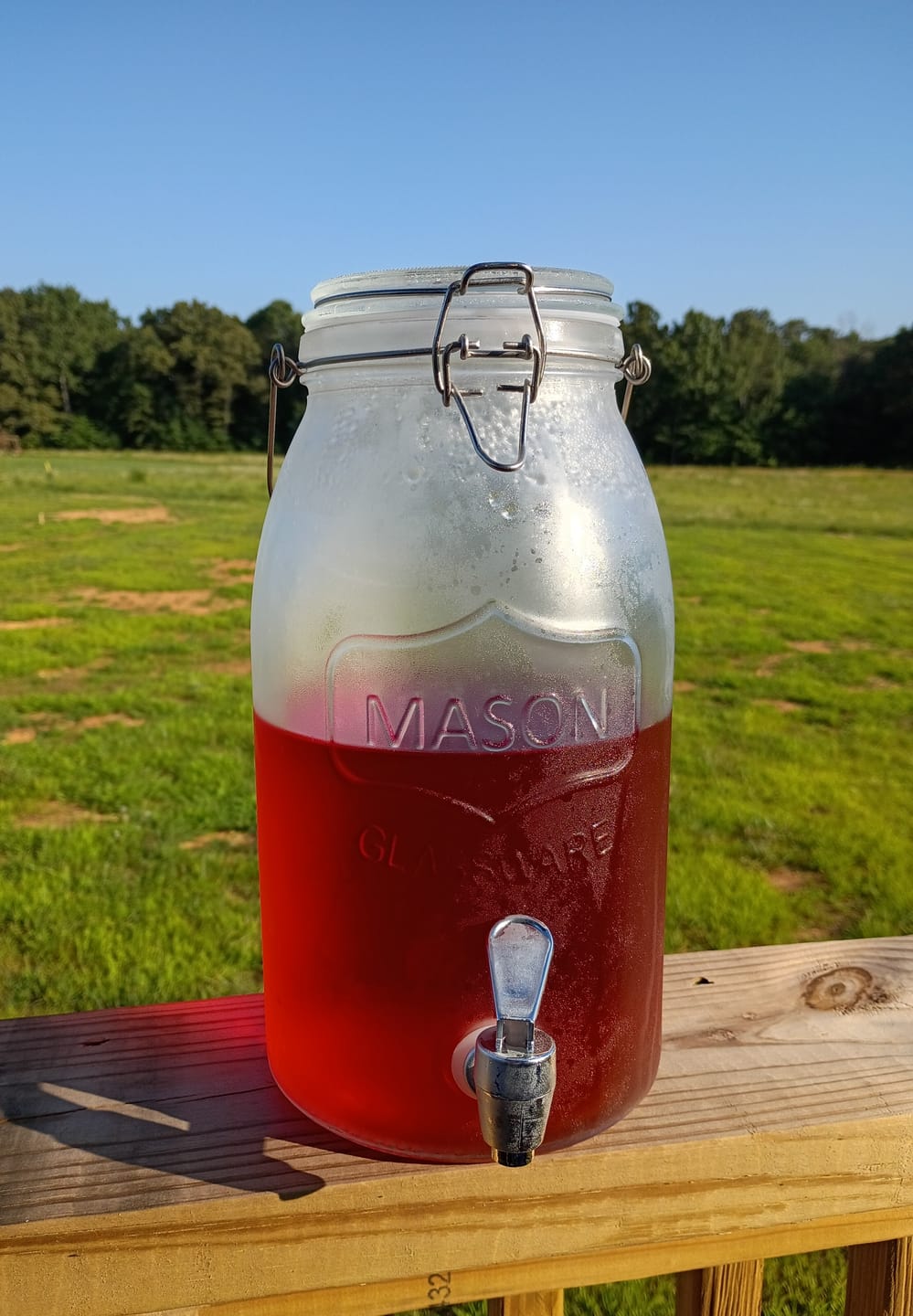 Customer photo review of Raptor Razz
