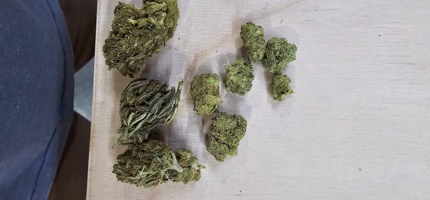 Customer photo review of Maui Wowie Minis - 14 Grams - Sativa