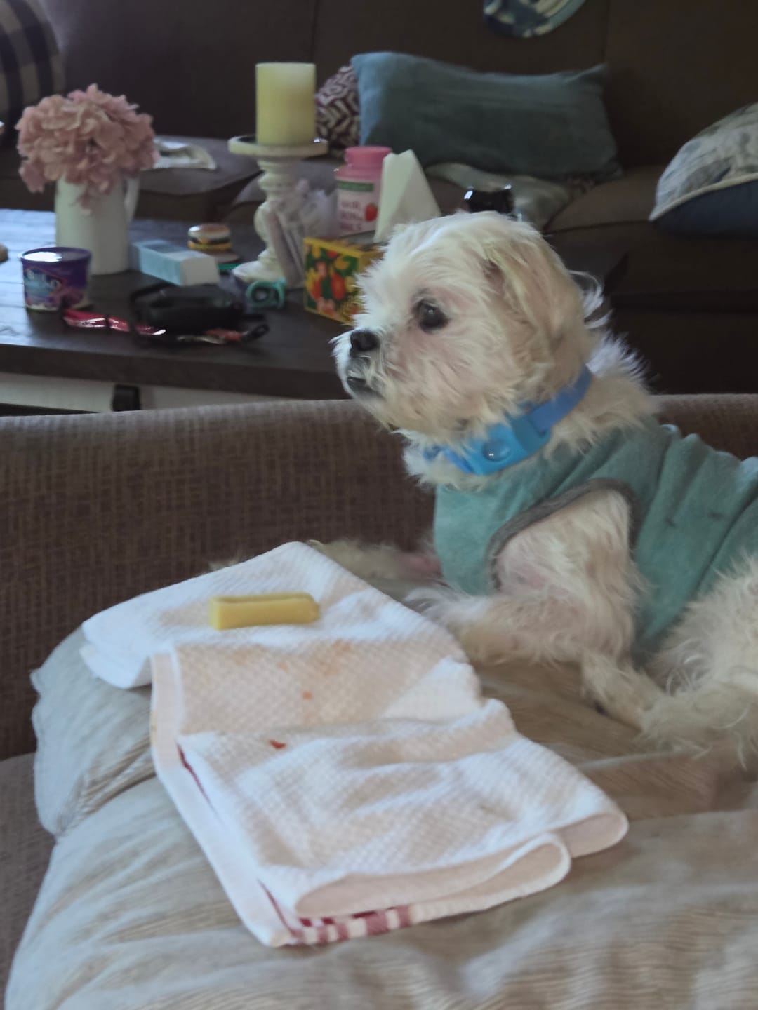 Customer photo review of Banana Yak Chew — Rich in Vitamins, Potassium & Energy