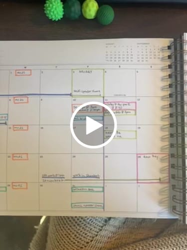 Customer video review of FINAL SALE: 2026 |The Rose Planner | Mr. Darcy's Study