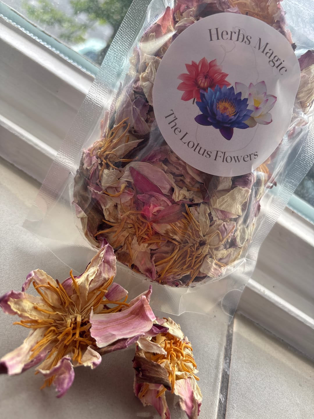 Customer photo review of White Lotus Flower (Nymphaea lotus)
