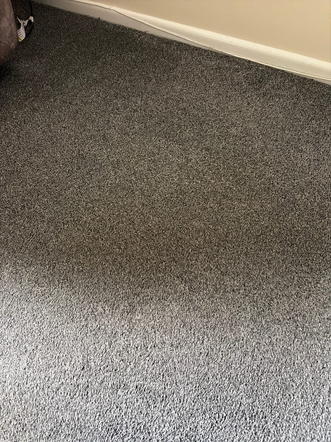 Customer photo review of Creed