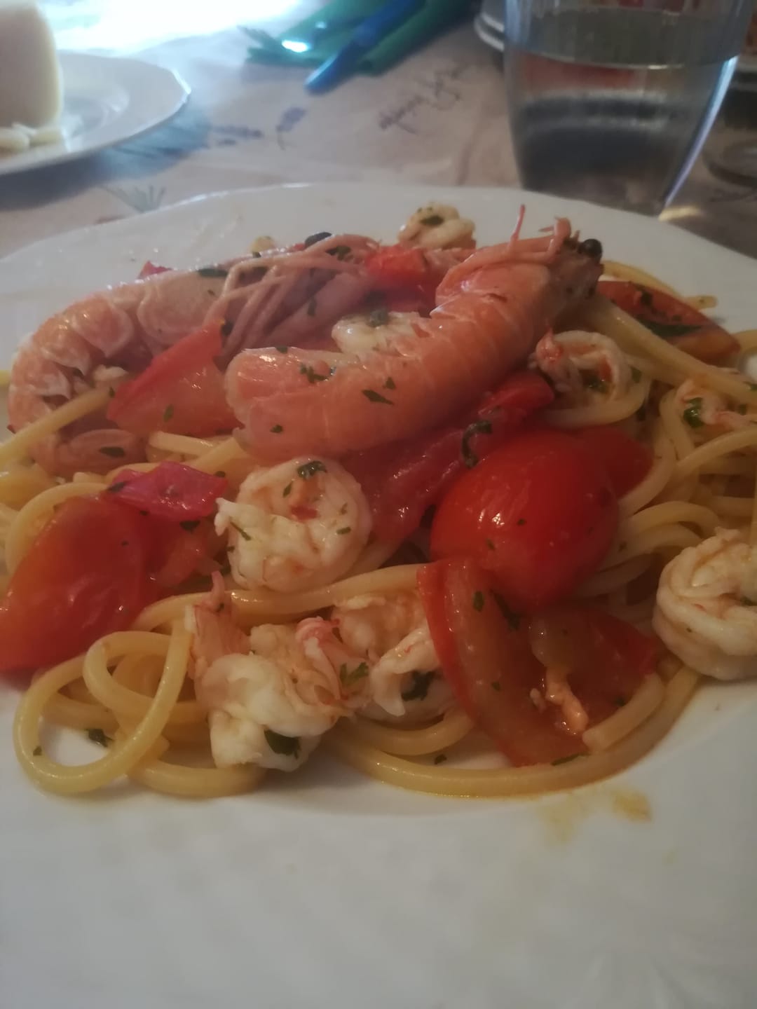Customer photo review of 1 lattina di olio extravergine di oliva • 5 Litri
