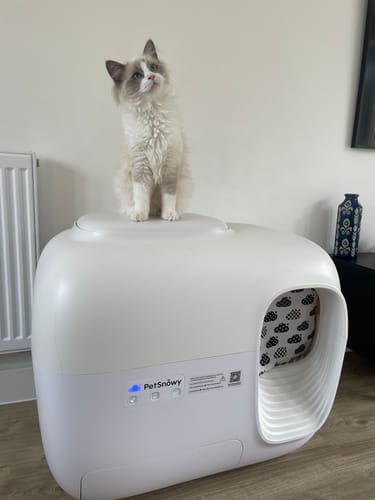 Customer photo review of Self-Cleaning Litter Box