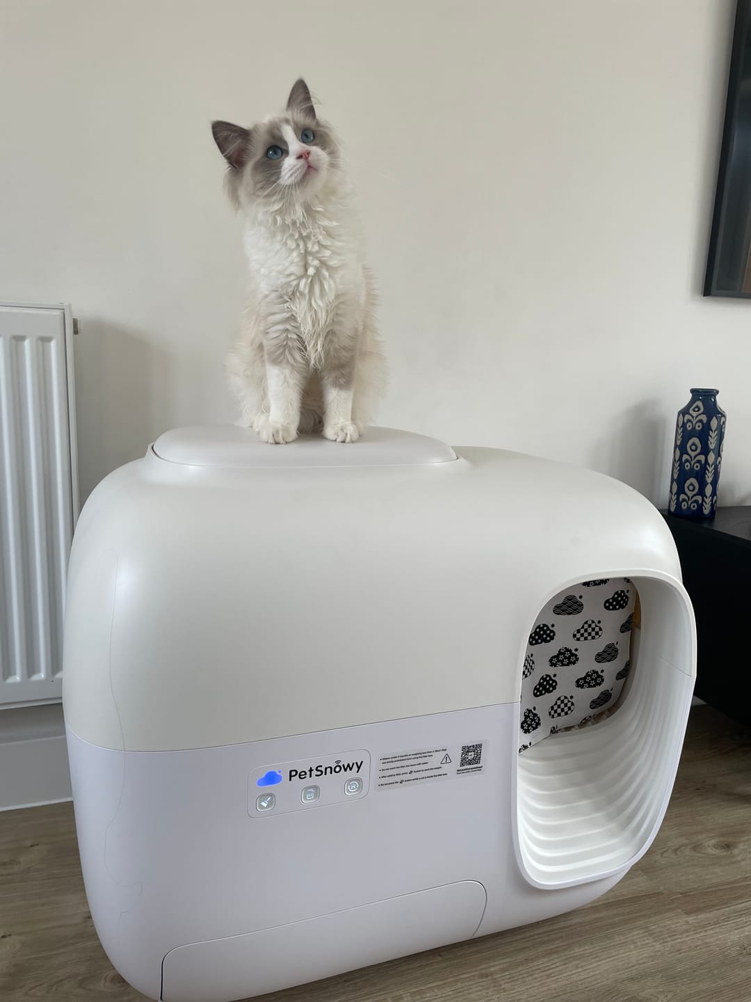 Customer photo review of Self-Cleaning Litter Box