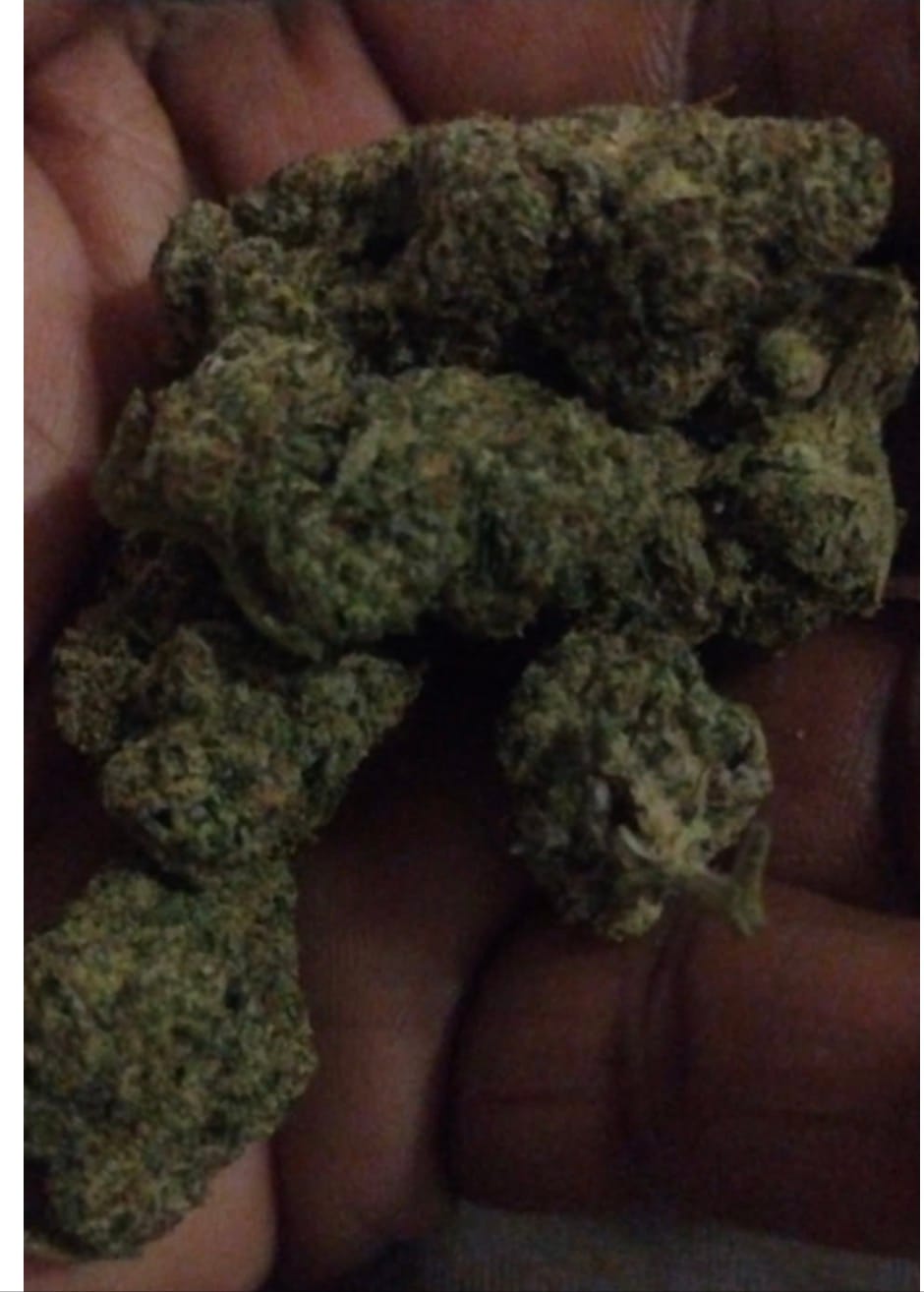 Customer photo review of Icy Pop - Bulk - Hybrid