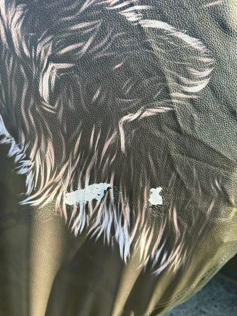 Customer photo review of Wolf Spare Tire Cover LT11