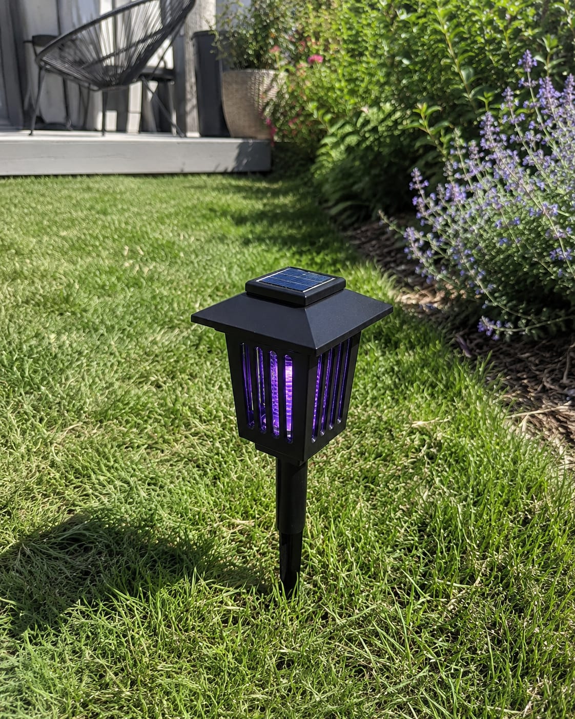 Customer photo review of Lampe Solaire Anti-Moustiques