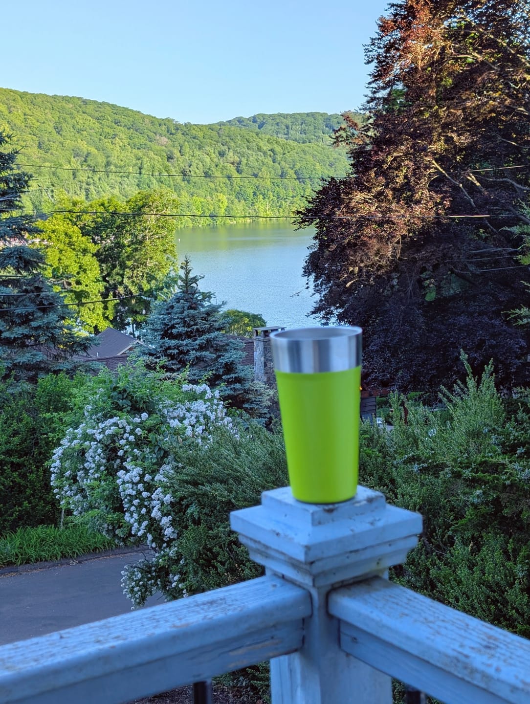 Customer photo review of CALM DESCENT Swiss Water Process Decaf