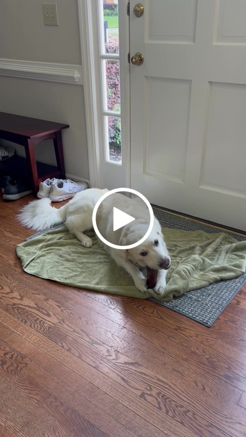 Customer video review of Smoked Beef Marrow Bone