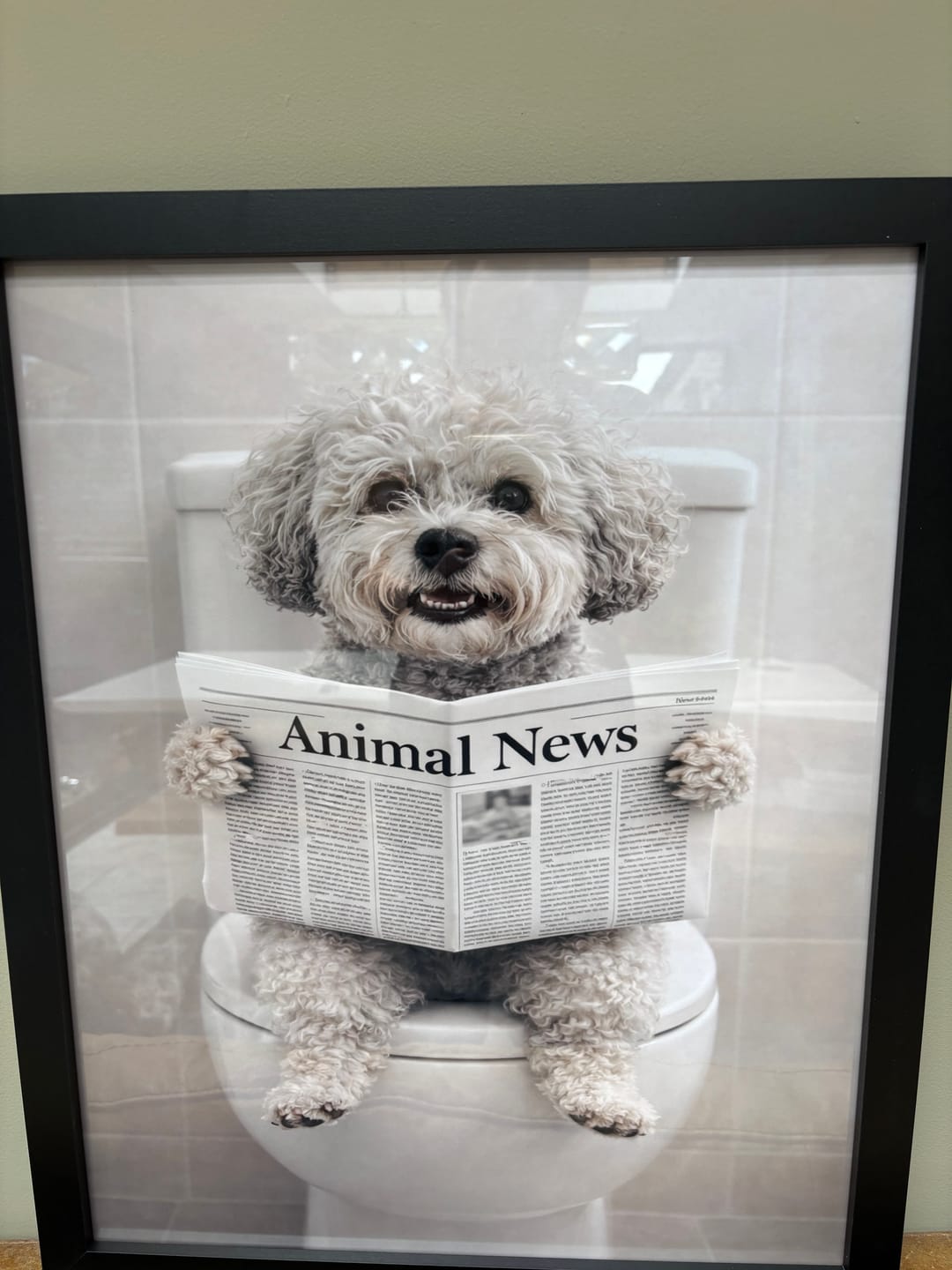 Customer photo review of Bathroom -  Personalised Poster
