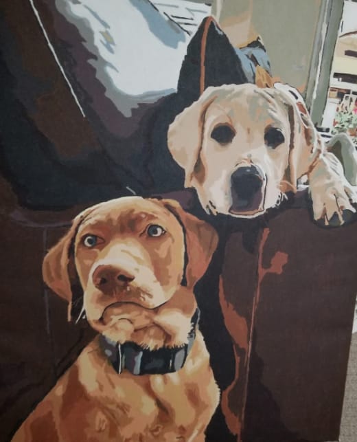 Customer photo review of Custom Paint By Numbers - Personalized Pet Portraits