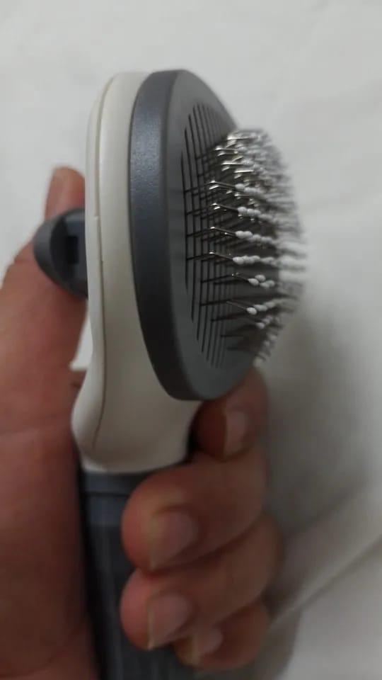 Customer photo review of Self Cleaning Pet Grooming Brush for Dogs and Cats