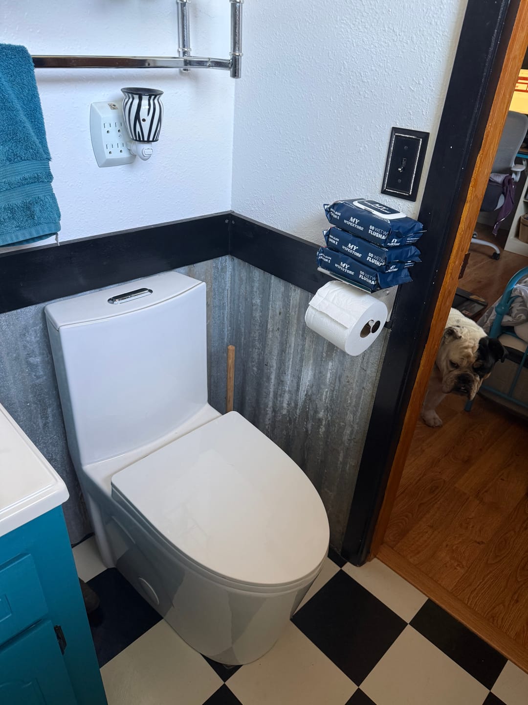 Customer photo review of My Wipes Premium Flushable Wipes