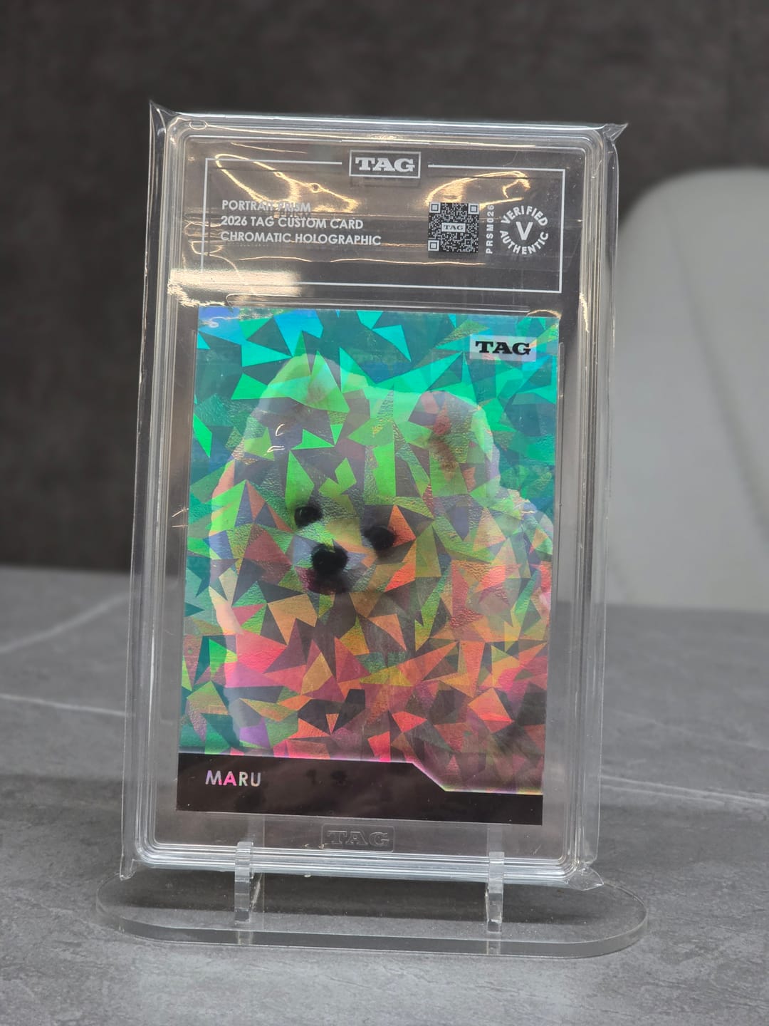 Customer photo review of TAG Custom Card | Pet Portrait Prism