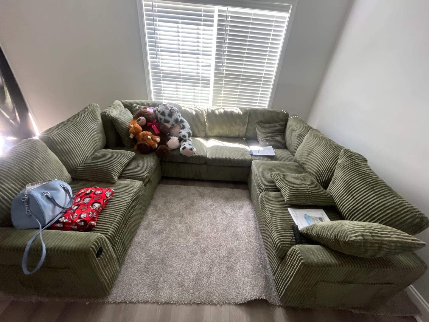 Customer photo review of Chenille Pull Out Sleeper Sofa with Storage Ottoman
