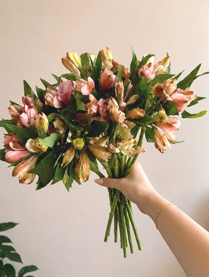 Customer photo review of Alstromeria Antique Pink