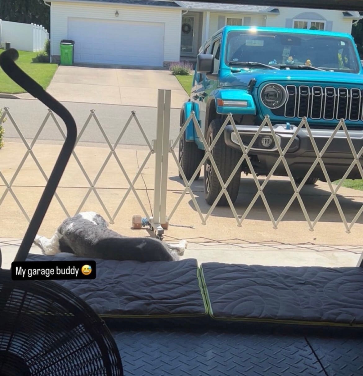 Customer photo review of Fairybaby Extra Wide Retractable Outdoor Dog Gate,Expandable Portable Fence