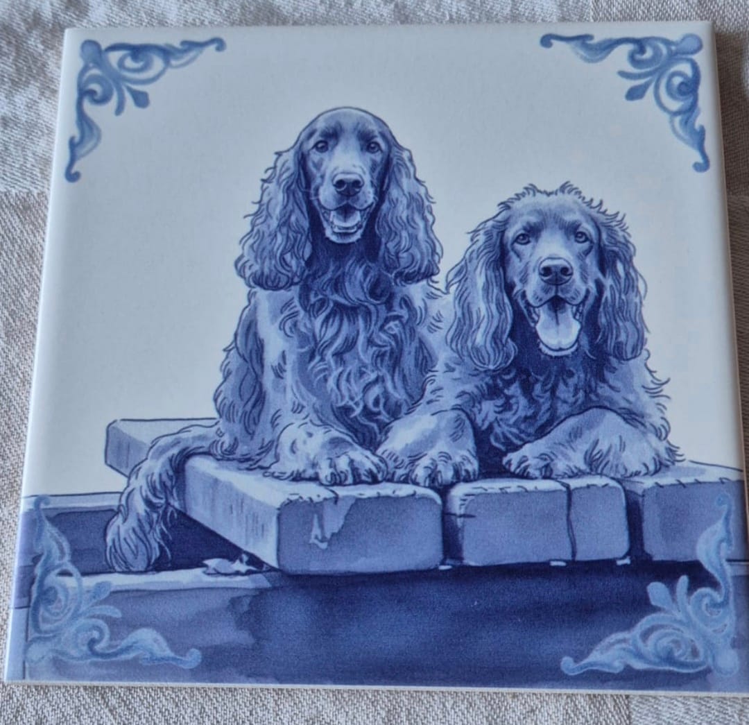 Customer photo review of Delfts Blauw tegeltje bedrukken met jouw foto