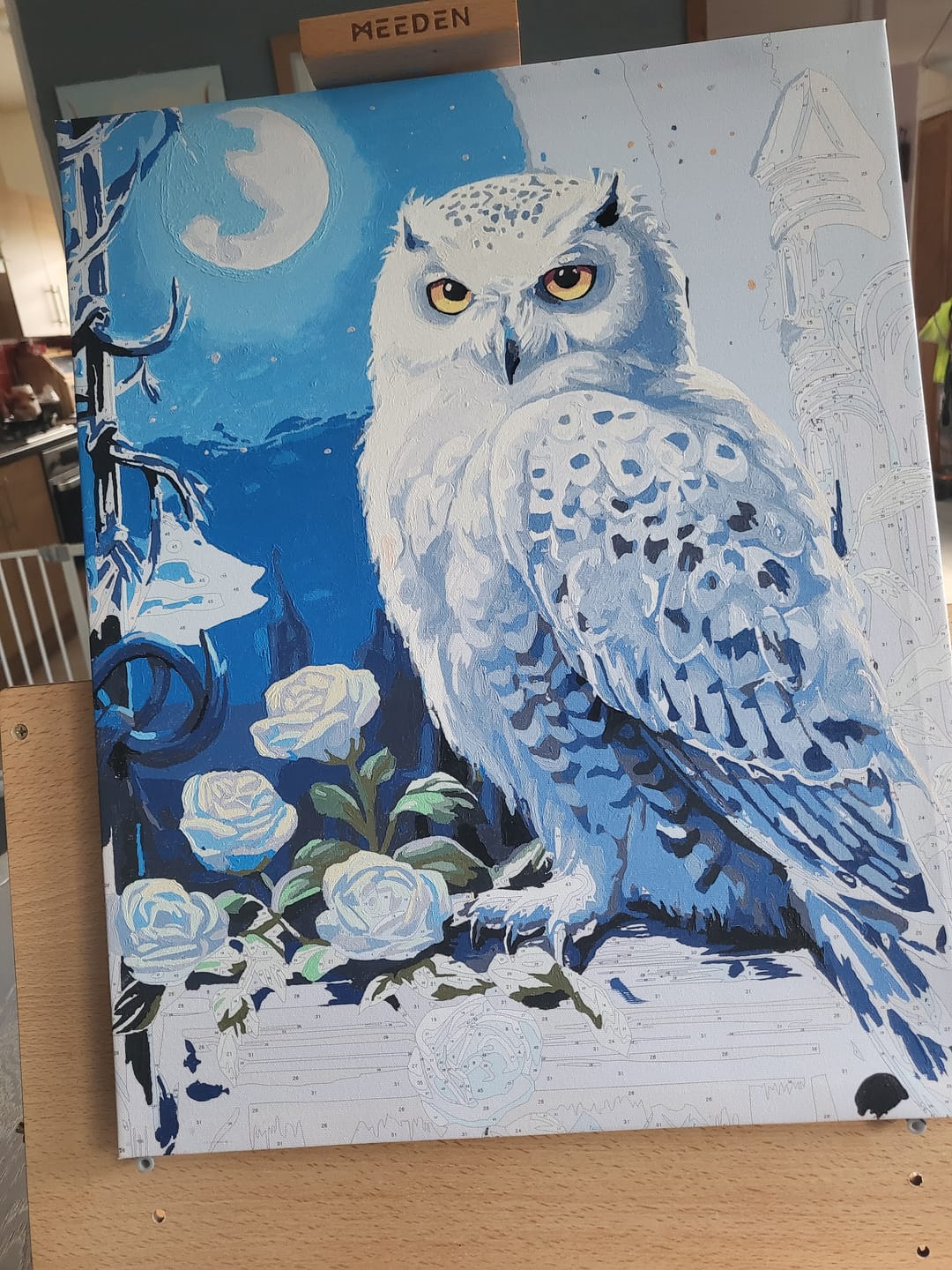 Customer photo review of Snowy Owl