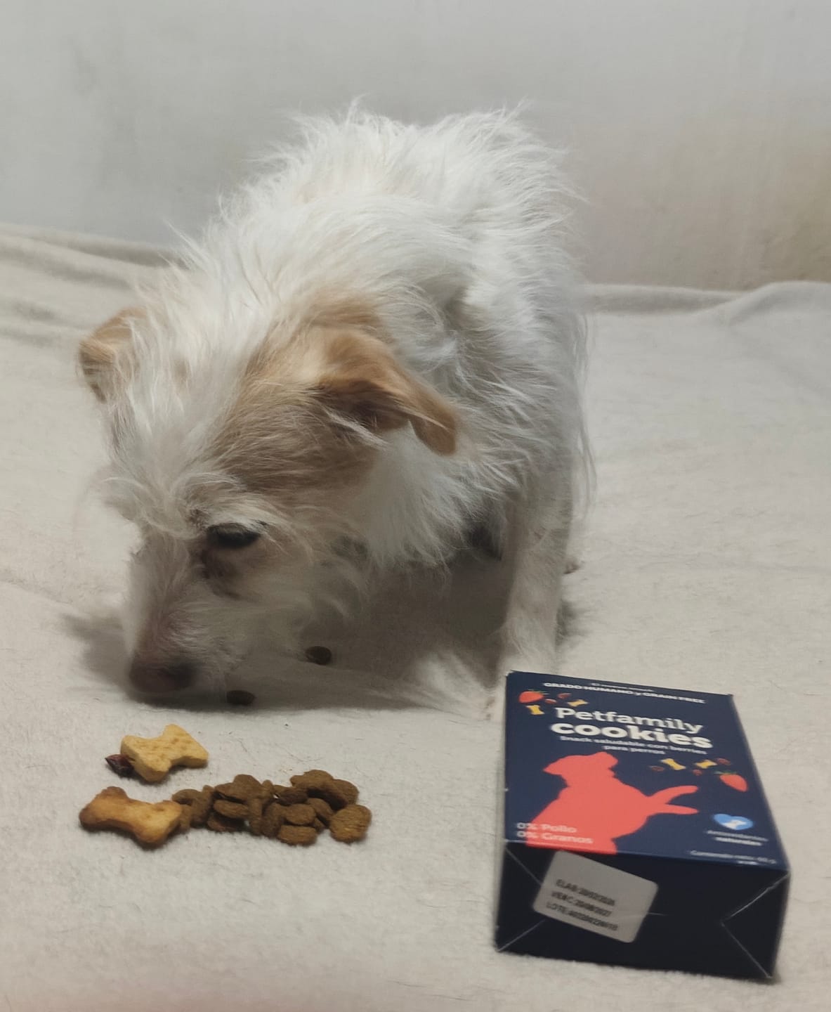 Customer photo review of PetFamily Foods Cerdo Nordico