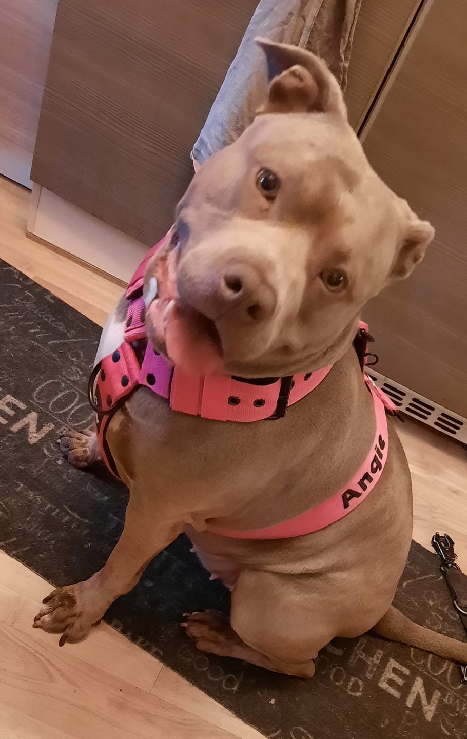 Customer photo review of Hundsele med namn