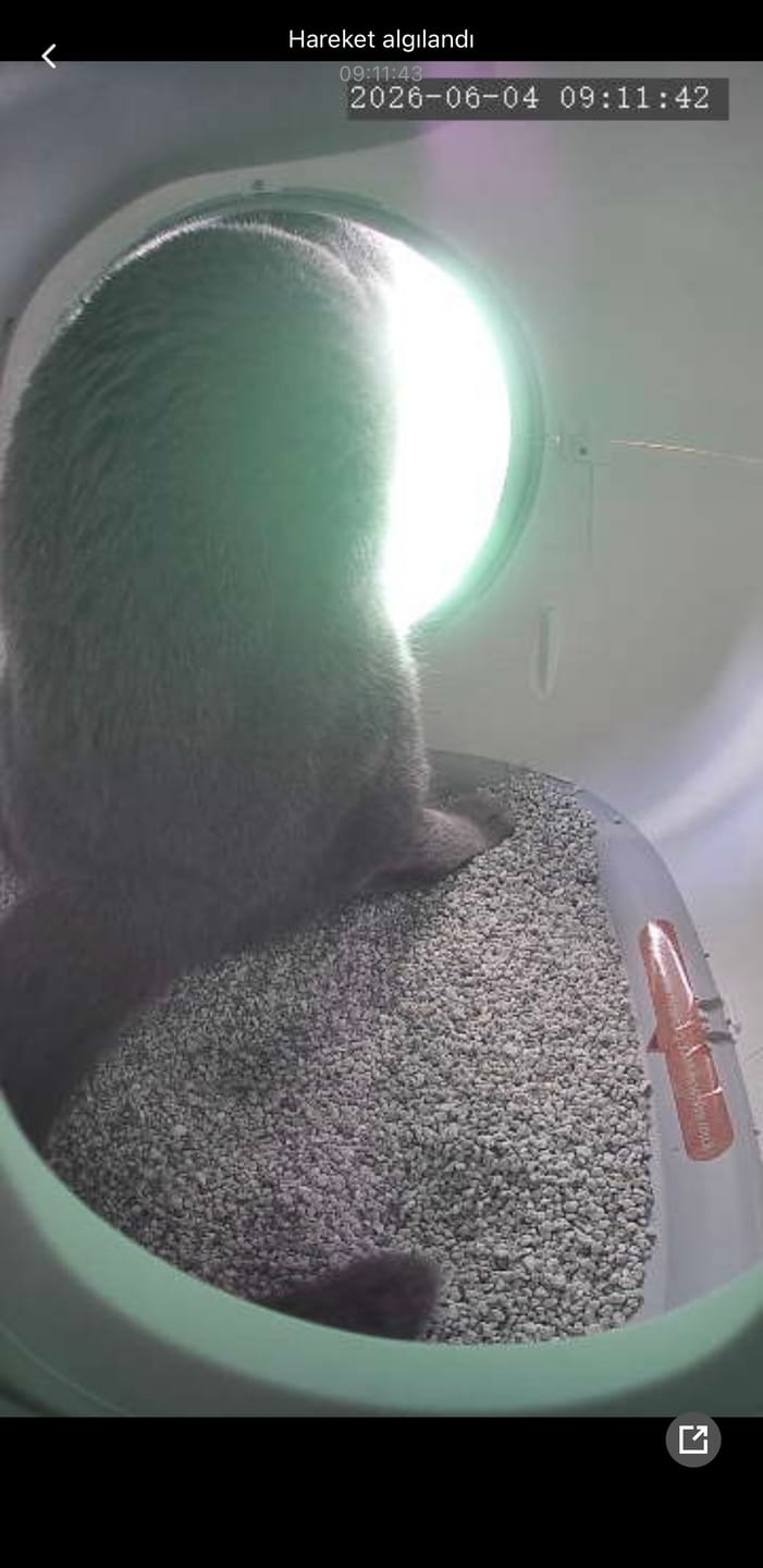 Customer photo review of Otomatik Kedi Tuvaleti (Kameralı) | 72 Lt, 1080p, Mobil Kontrol, Wifi, Akıllı Kedi Tuvaleti (X8623)
