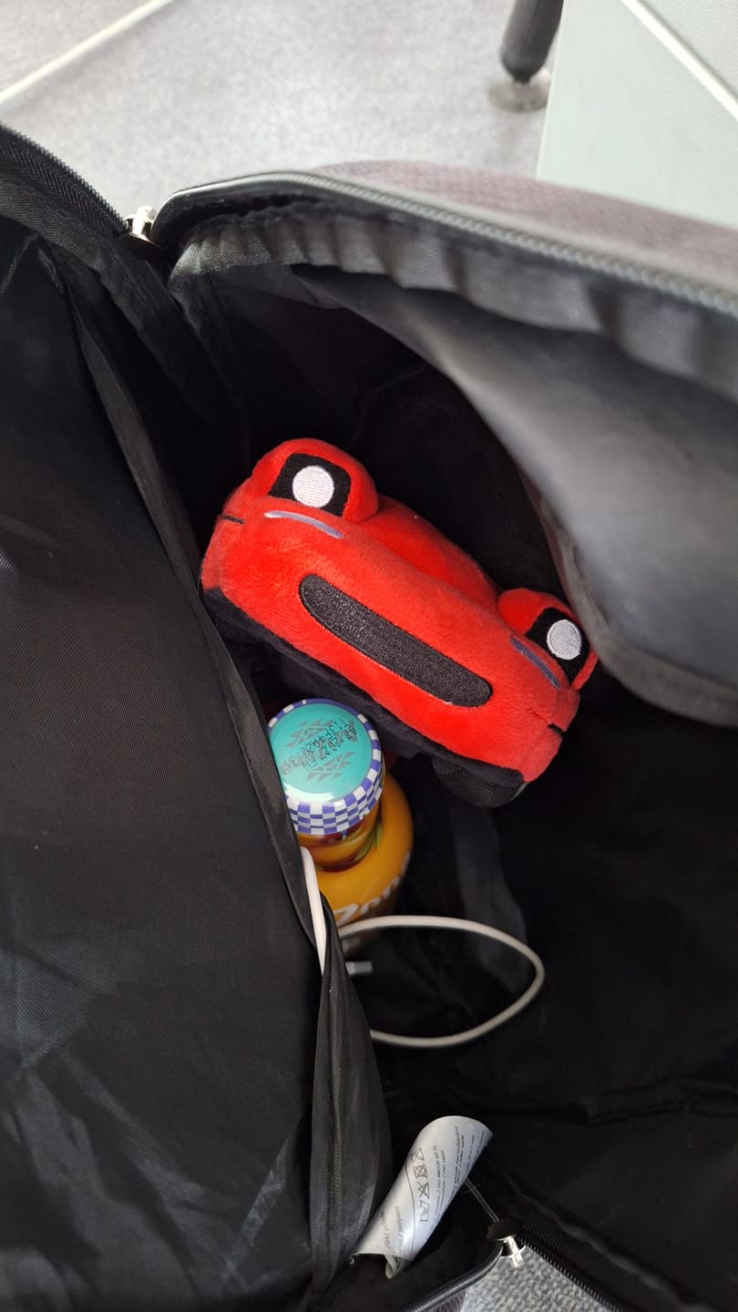 Customer photo review of Miata MX5 Plushie