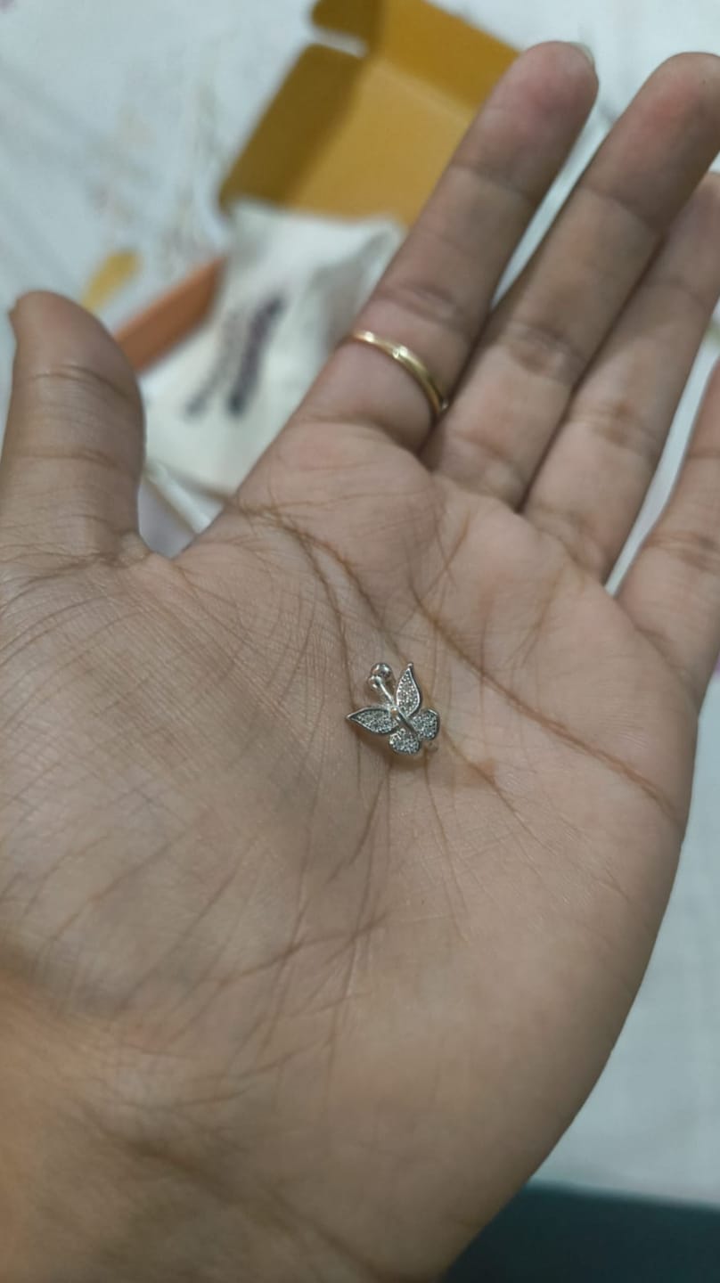Customer photo review of Butterfly Silver  Clip On Nose Pin