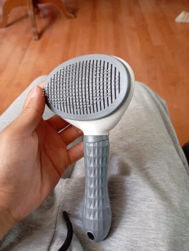 Customer photo review of Self Cleaning Pet Grooming Brush for Dogs and Cats