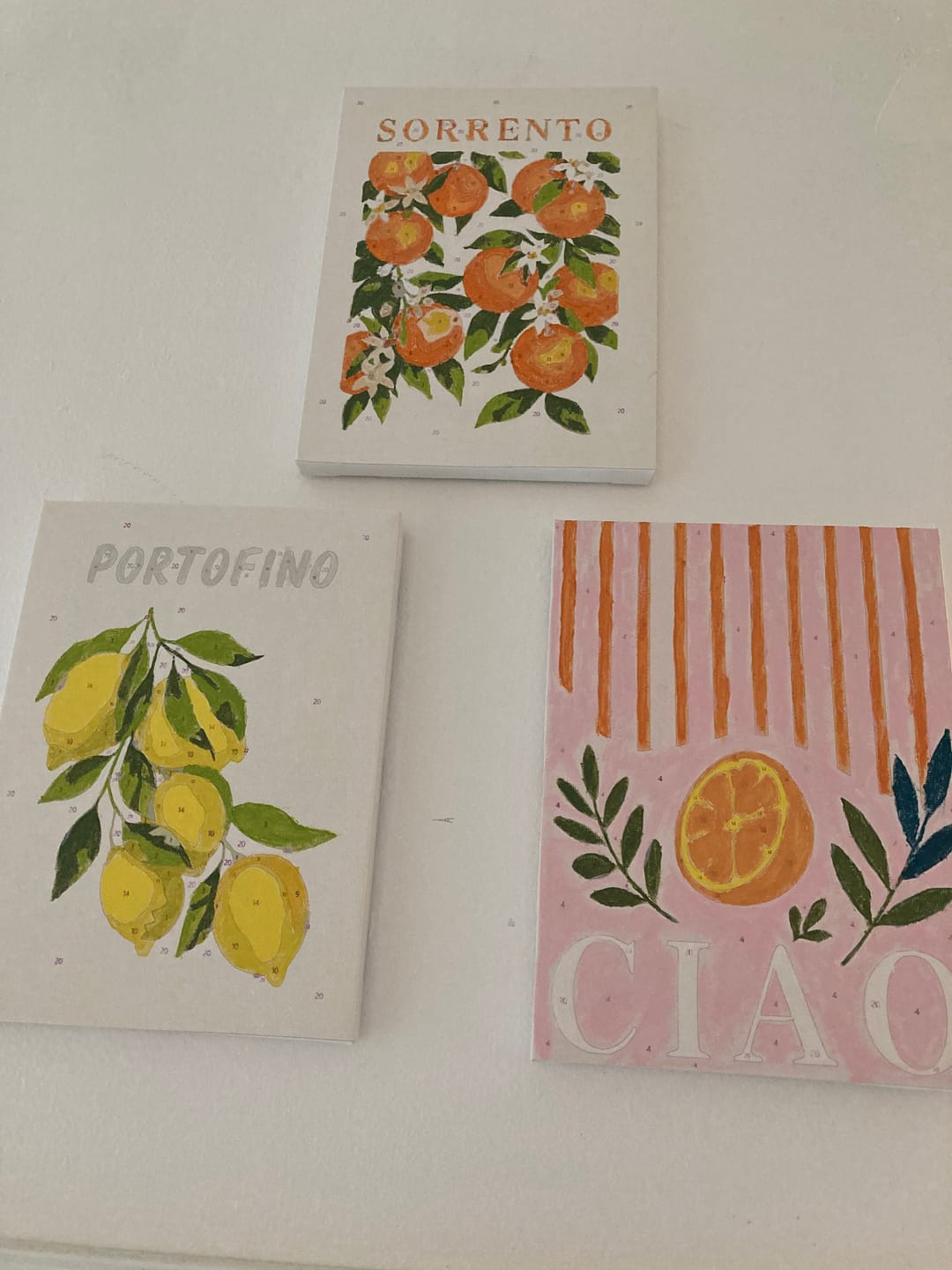 Customer photo review of 6 Mini Paintings - Italian Fruit & Drinks Set