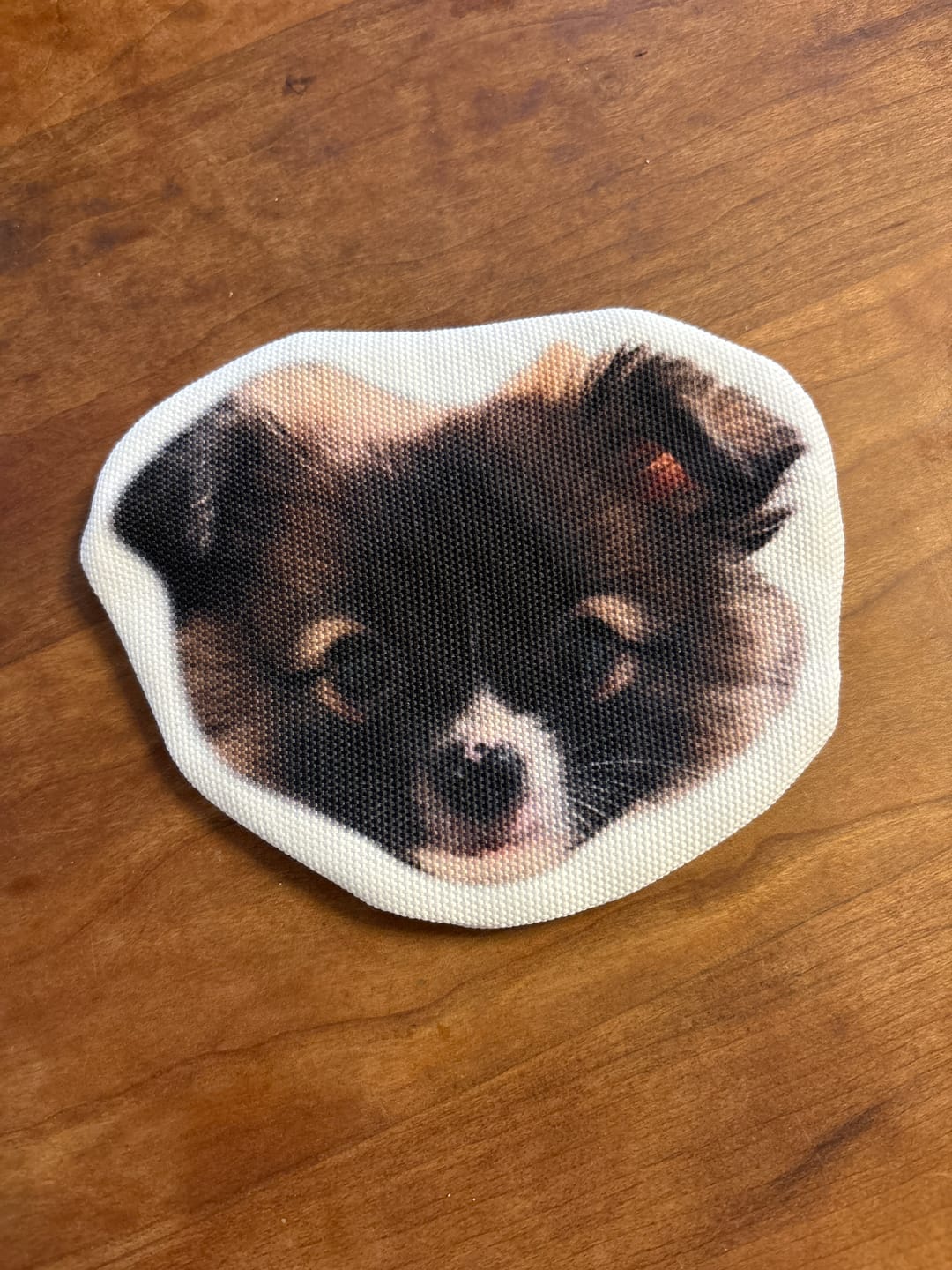 Customer photo review of 本物そっくり♪ペットフェイスバッグ