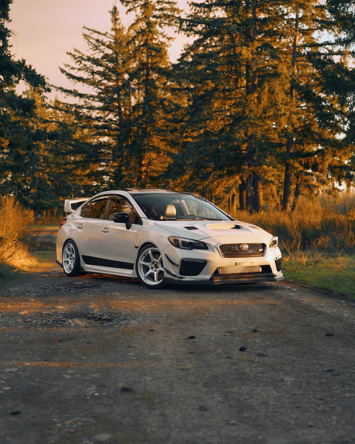 Customer photo review of STi Bronze Quick Entry
