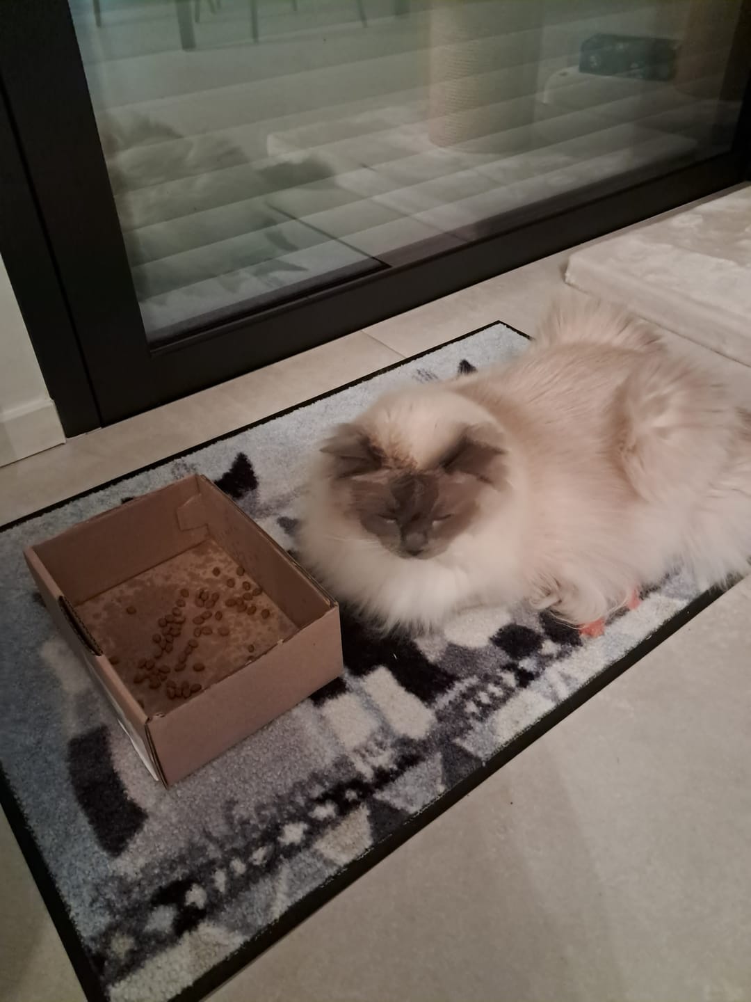 Customer photo review of Croquettes riches en poissons blancs frais (Chat stérilisé)